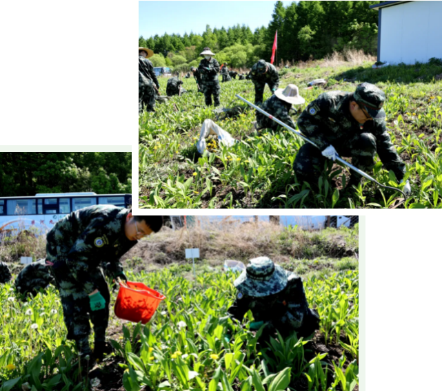 亚洲必赢·(中国区)唯一官方网站