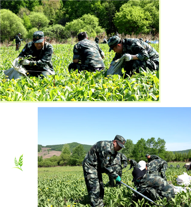 亚洲必赢·(中国区)唯一官方网站
