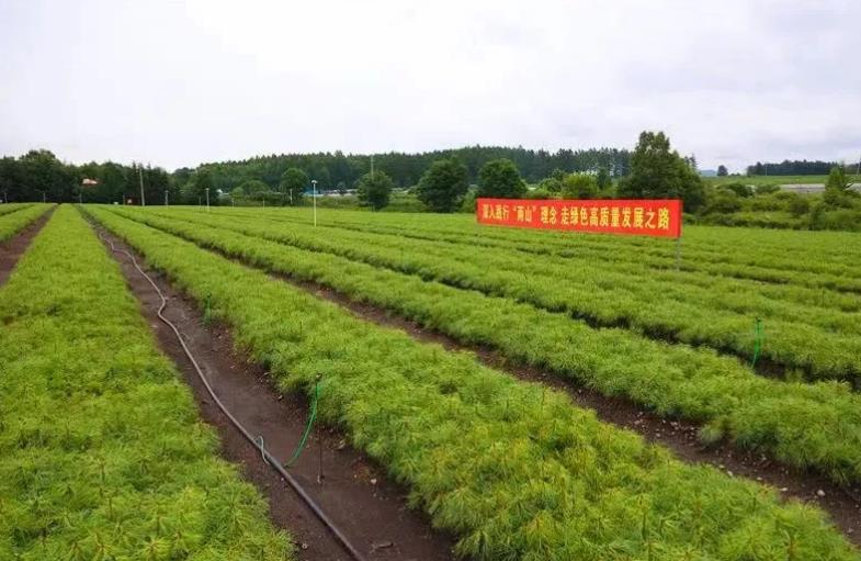 亚洲必赢·(中国区)唯一官方网站