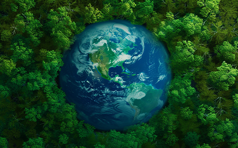 �ɳ�����չ