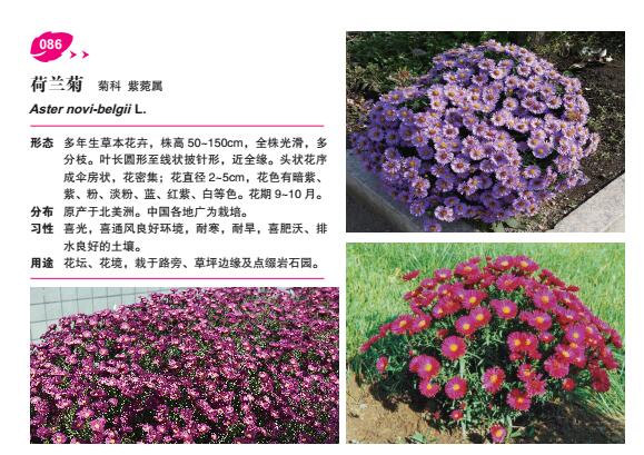 亚洲必赢·(中国区)唯一官方网站