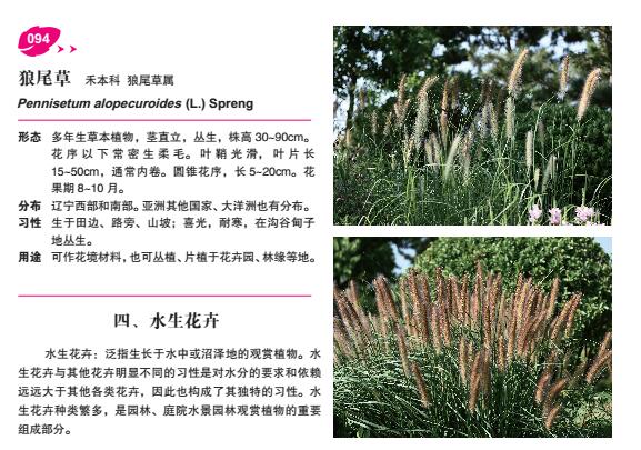 亚洲必赢·(中国区)唯一官方网站